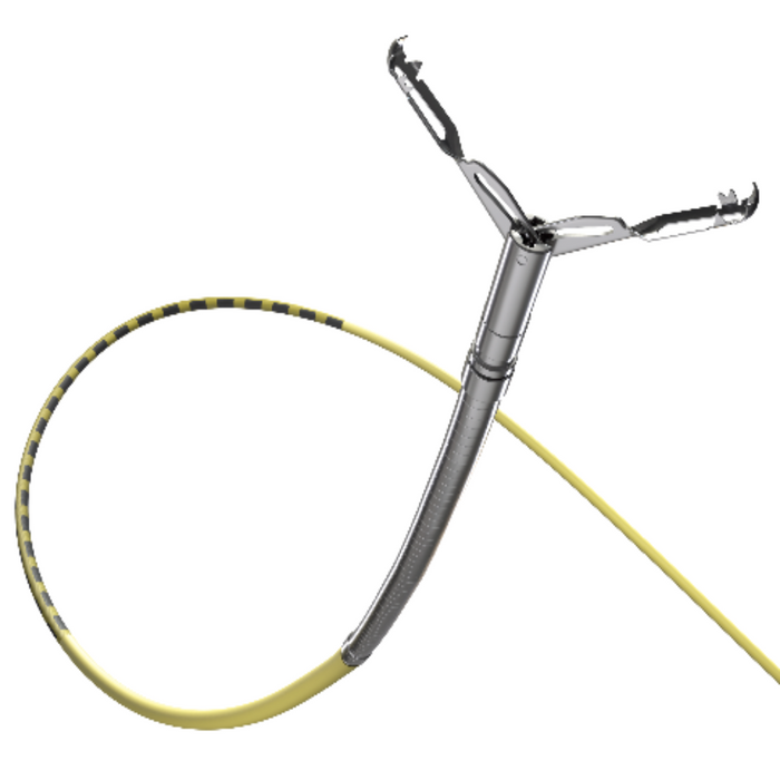 CLIPS DE COLOCACIÓN ENDOSCÓPICA