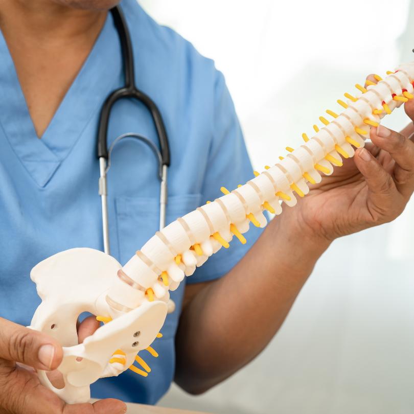 Columna - Casa Medica