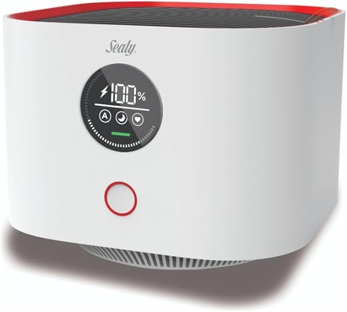 PURIFICADOR DE AIRE INTELIGENTE PORTATIL