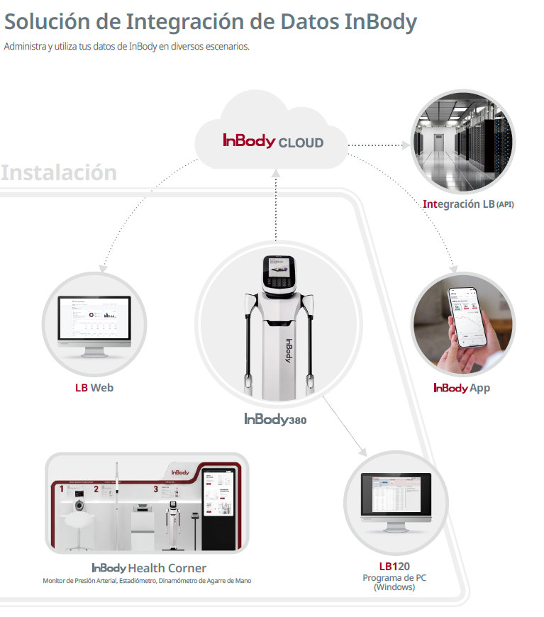 InBody 380