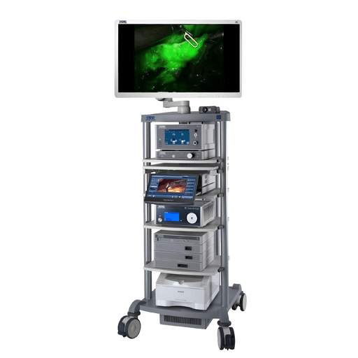 Torre de videocirugía 4K guiada por fluoresencia Rubina - Casa Medica
