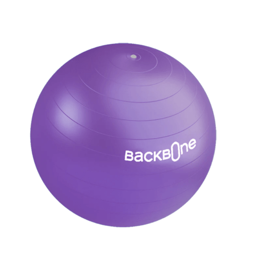Pelota de ejercicios B - Ball/Backbone - Casa Medica